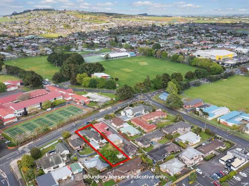 31 Harris Street, Pukekohe
