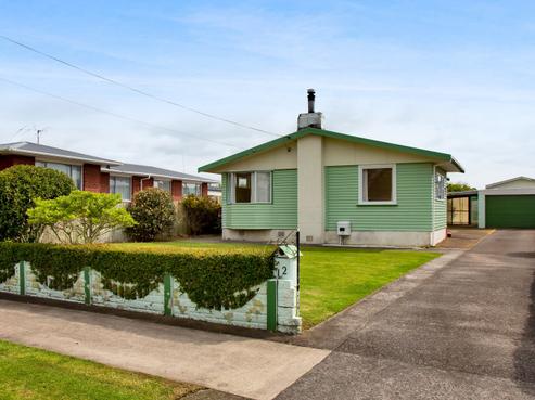 12 Manu Crescent, Upper Vogeltown