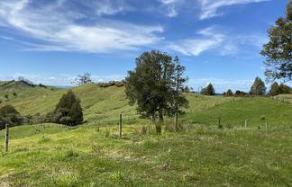 Lot 4/280 Paponga Rd, Broadwood