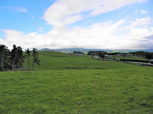 8 Coronation Street, Moeraki