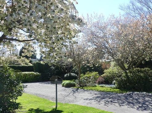 33 Dolma Street, Methven