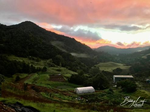 139 Warner Road, Takahue