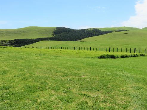 7 Alcemene Lane, Dargaville Surrounds