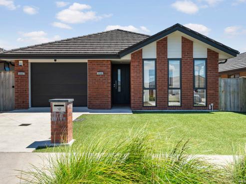 12 Huamanu Street, Pukekohe