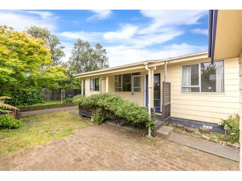 43B Gibbon Street, Sydenham