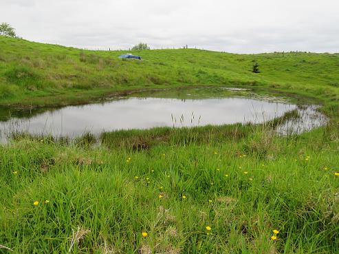 289 Franklin Road, Paparoa