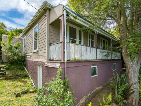 89 Buccleugh Street, North East Valley