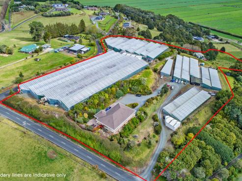 491 Apotu Road, Kauri