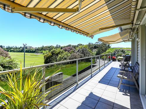 233B Carrington Street, Vogeltown