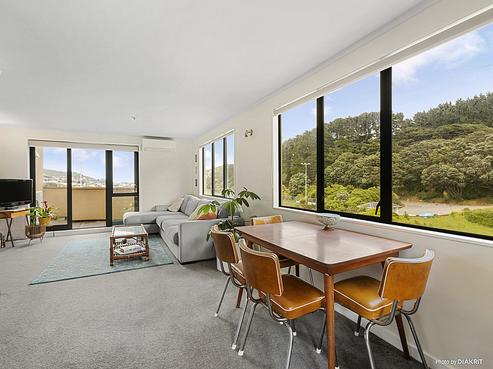 568C Adelaide Road, Berhampore