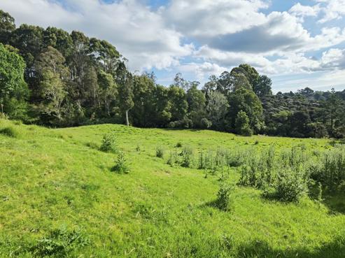 29 Warman Road, Okura