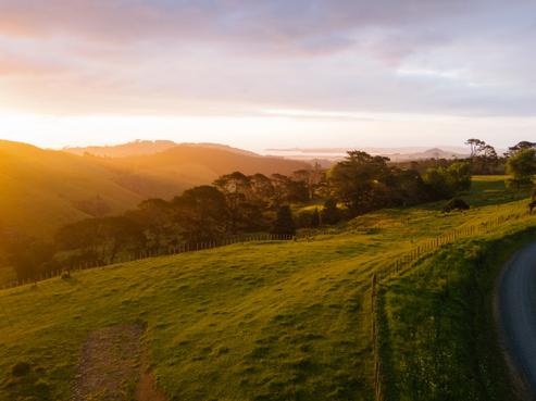 307 Dill Road, Kaipara Flats