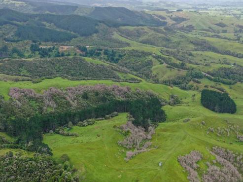 944 Waiti Road, Tahuna