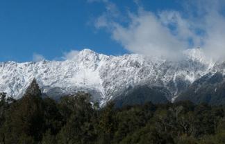 Fox Glacier Bare Land For Tourist Development