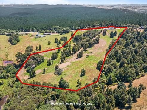 586 Blackbridge Road, Waitoki