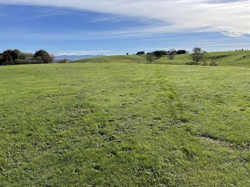 127L Main North Road, Otorohanga