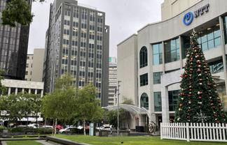 Wellington CBD Office Opportunity