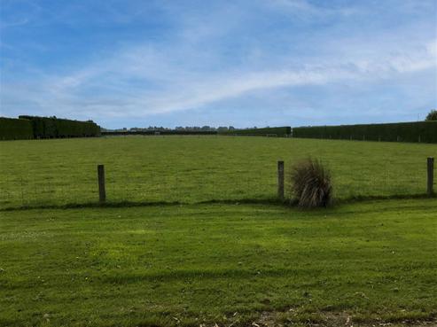 210 Roslyn Road, Roslyn Bush