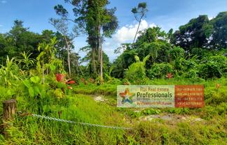 Pacific Islands - Address withheld