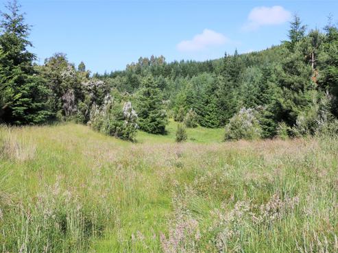 10 Mount Lyford Forest Drive, Lyford