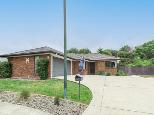 14 Mickelson Avenue, Rototuna