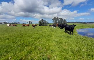 Lot 1 Mangatete Heights, Kaingaroa