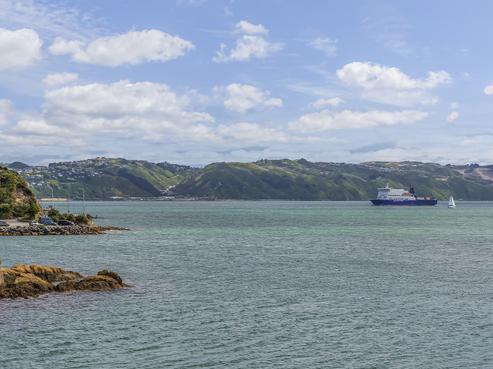 5/148 Evans Bay Parade, Roseneath