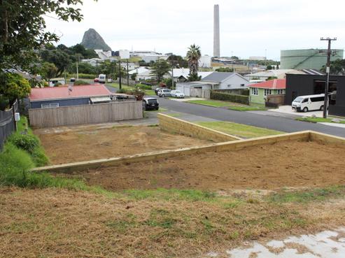 38 Pioneer Road, Moturoa