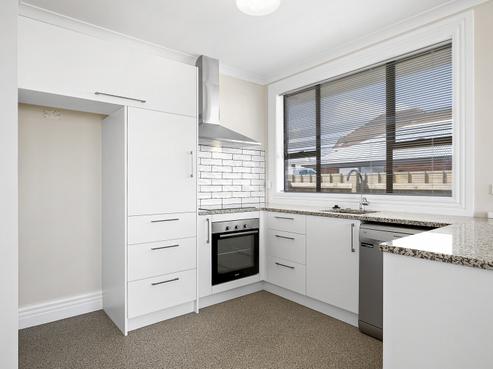 146 Melbourne Street, South Dunedin