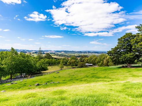 41 Plane Tree Lane, Ruatangata