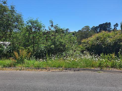 31 Trig Hill Road, Onetangi