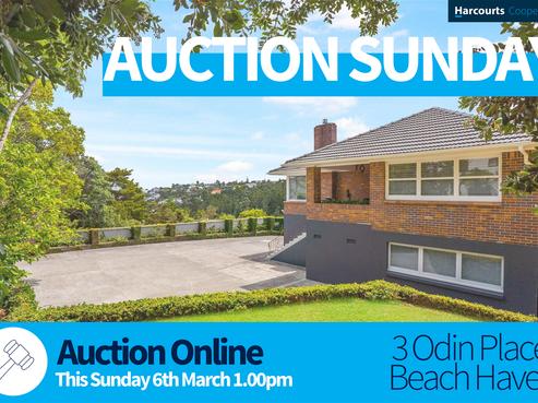 3 Odin Place, Beach Haven