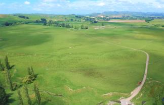 3361 State Highway 2, Takapau