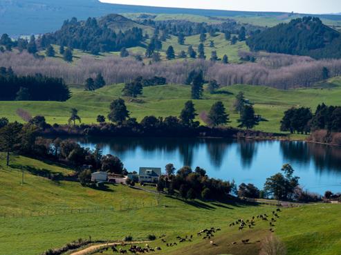 840 Okaro Road, Whakarewarewa