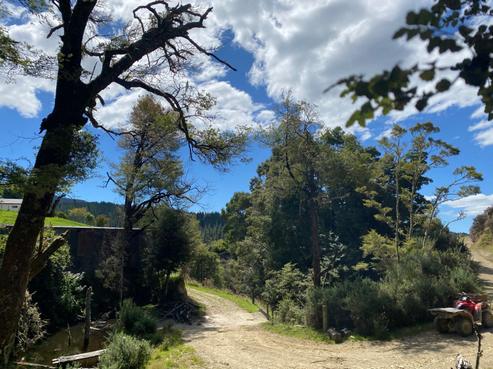 1669 Tadmor-glenhope Road, Tapawera