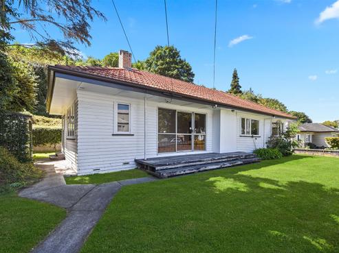 24 Opoia Road, Hamilton East
