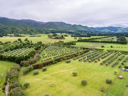 163 Boundary Road, Featherston