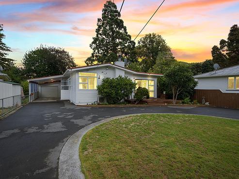 41 Akatarawa Road, Brown Owl