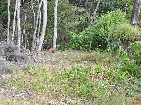 6 Lavinia Place, Kawau Island