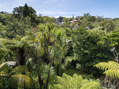 62 Braemar Road, Castor Bay