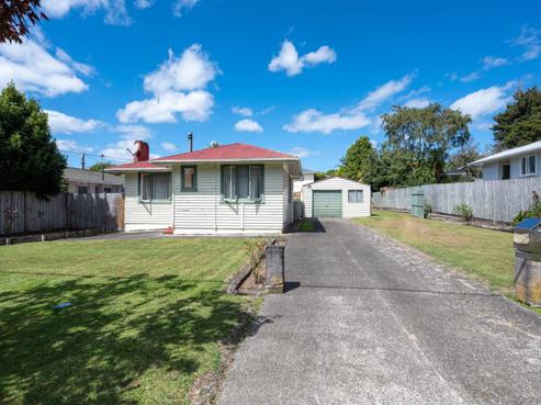 19 Nikau Street, Springfield
