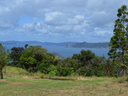 3 Puriri Place, Tuateawa