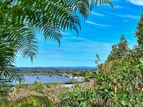 65 Eugenia Rise, Totara Heights