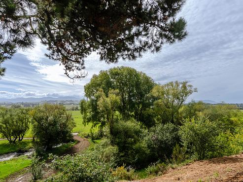 1574 Cust Road, Cust