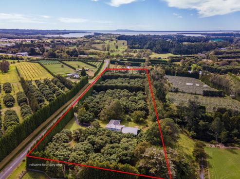 43 Thompsons Track, Aongatete