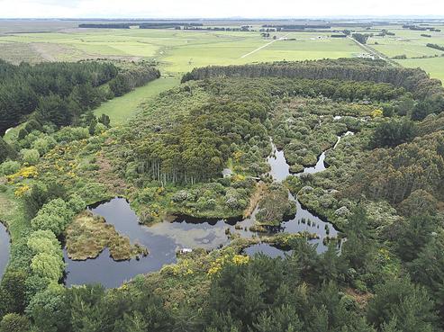 600 Marshall Road, Awarua