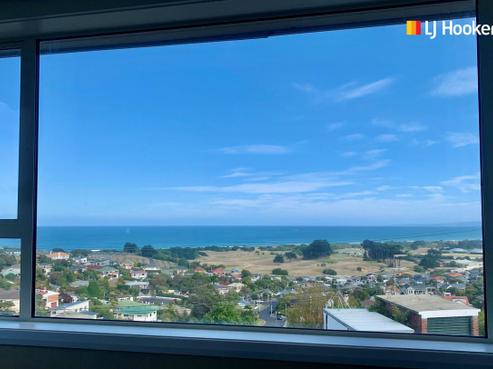 8 Hunt Street, Andersons Bay