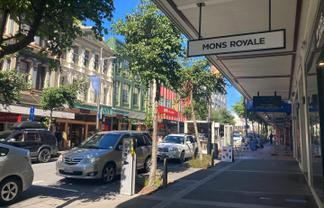 One of Wellington's Best Shopping Strips