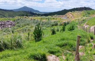 Lot 8/47 Kamea Place, Maungaturoto