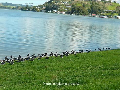 15 Regent Street, Whakapirau